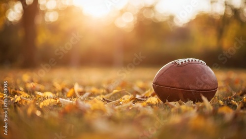 An american football resting on the grass covered with fallen autumn leaves in a park, with a soft-focus background, of trees illuminated, by warm golden, sunlight during the, fall season