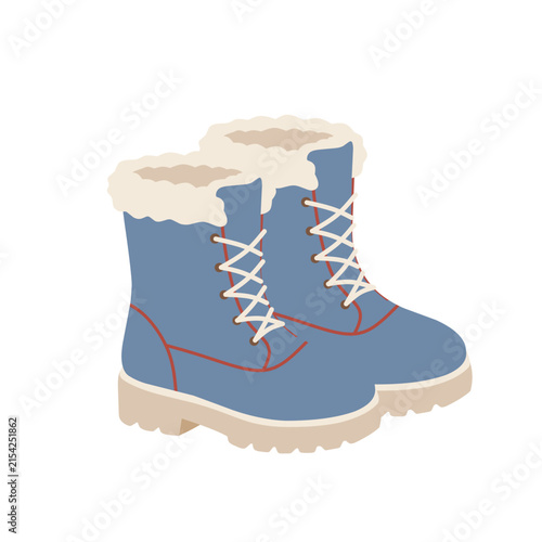 Cozy Fur Lined Winter Boots Vector Illustration