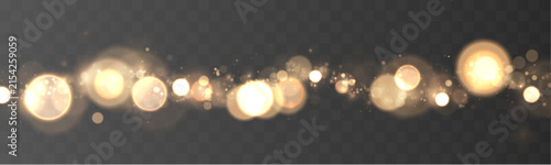 Golden dust sparkles gently around radiant light flares. Soft bokeh creates a dreamy atmosphere. Festive overlay for cards and digital art.