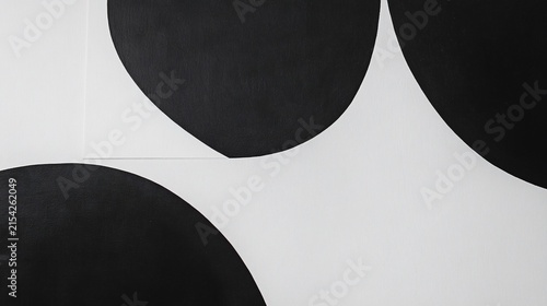 Abstract Black and White Minimalist Geometric Pattern