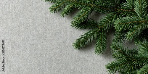 Close-up of dark green fir branches against a textured light gray surface