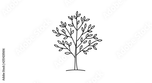 A simple line drawing of a deciduous tree with small leaves and branches reaching outwards