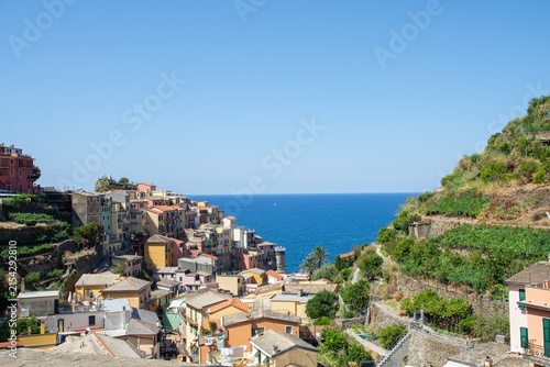 View of the colorful houses of Manarola nestled on the cliffs overlooking the Mediterranean Sea with terraced vineyards under a clear blue sky in Manarola, Liguria, Italy.