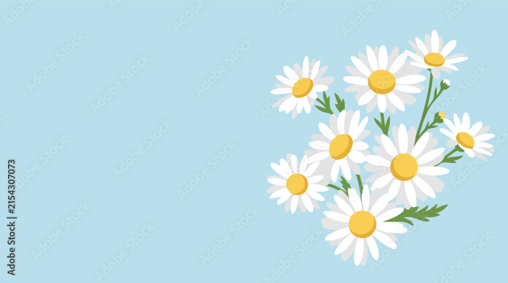 Fototapeta premium White daisy flowers bouquet minimalist flat vector illustration for spring greeting card and website header background