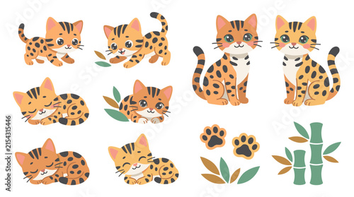 Set of spotted cat breed kittens in various poses with bamboo foliage and paw prints, flat vector elements for animal illustration and kids design