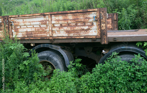 Rusty abandoned truck hidden in dense green vegetation.