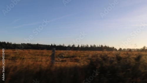 Hirtshals, Denmark A view of a lush field at sunrise. 