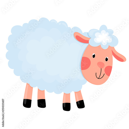 Sheep with fluffy wool and a friendly smiling face