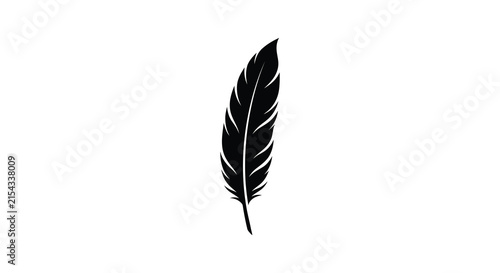 Fotografie A single black feather is depicted as a stark silhouette against a white backgro