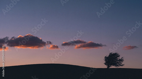Quadro su tela Silhouette of a windswept tree on a dark hill against a serene twilight sky with soft orange clouds