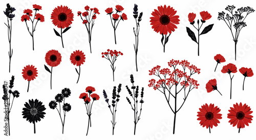 A collection of beautiful red and black floral illustrations, featuring various types of flowers and plants. Perfect for design projects and adding a touch of nature-inspired elegance to any creation