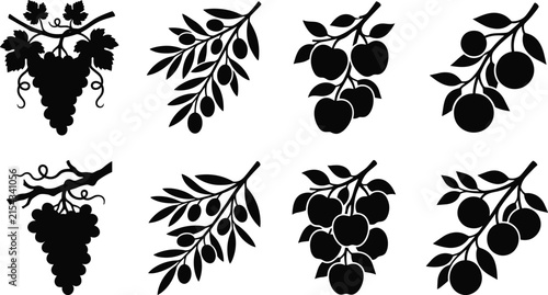 Fruit branch silhouette vector set with grapes, olives, apples, and oranges for agricultural design