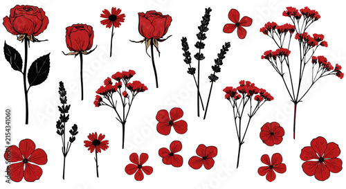 A collection of beautiful red and black floral illustrations, including roses and wildflowers, presented as a graphic resource