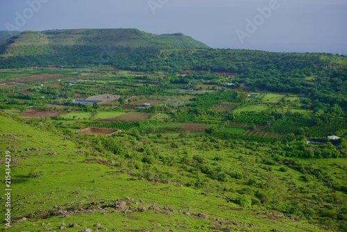 Lush green monsoon landscape in Maharashtra, India