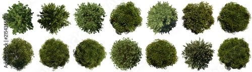 Obraz na plátně Diverse collection of green trees and bushes from an aerial top-down view
