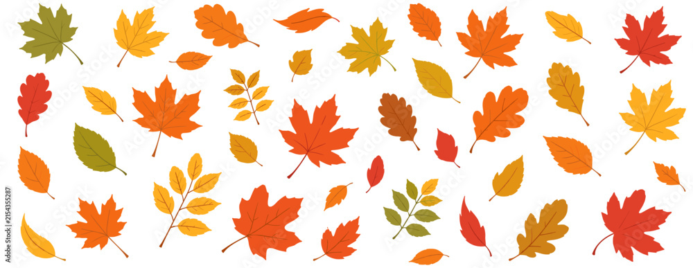 Fototapeta premium Autumn leaves vector illustration with colorful fall foliage blowing in the wind on white background, seasonal maple leaf decoration for Thanksgiving banners