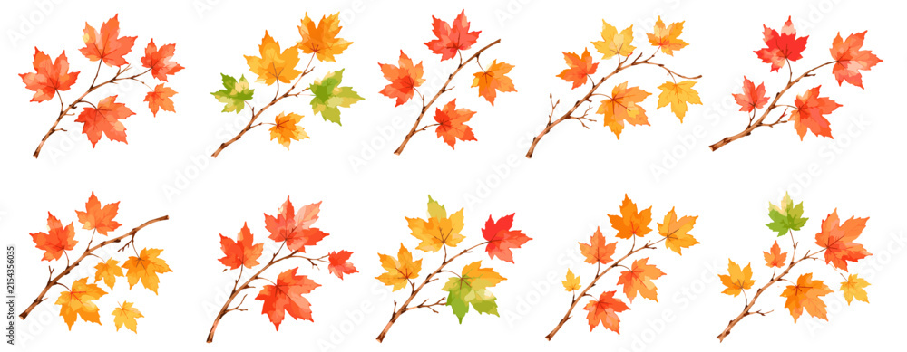 Fototapeta premium Autumn maple branch watercolor clipart with colorful fall leaves, orange red yellow foliage botanical seasonal decor vector illustration