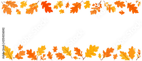 Obraz na plátne Orange and yellow autumn oak leaf border with top and bottom foliage frame, rust