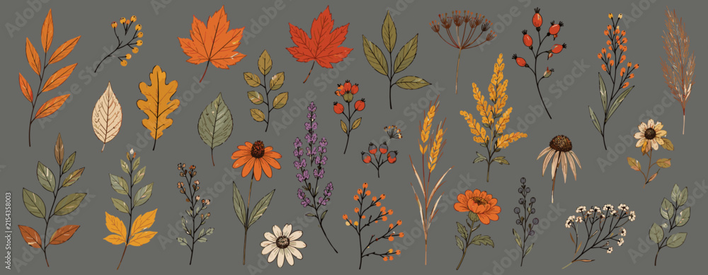 Naklejka premium Hand drawn autumn botanical sketch set with fall leaves, harvest plants, pumpkins, mushrooms, acorns and seasonal flowers vector illustration