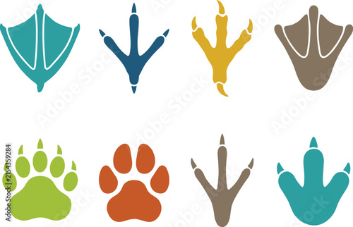 Obraz na płótnie Colorful set of animal footprints including bird tracks, webbed feet, and mammal