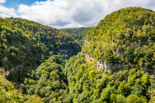 The Nouailles Gorge deep canyon viewed from the belvedere in Jura mountains - France
