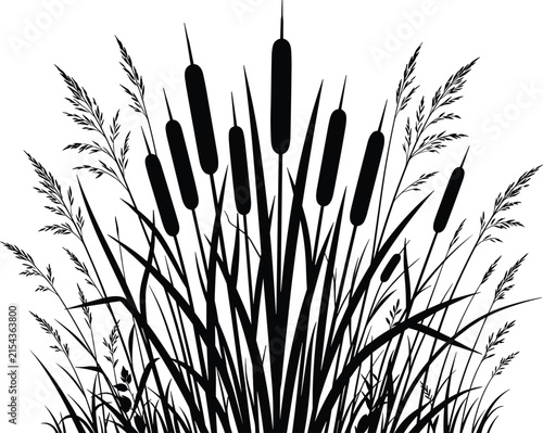 Принти на полотні Swamp cattail reed grass silhouette vector illustration for lake nature landscap