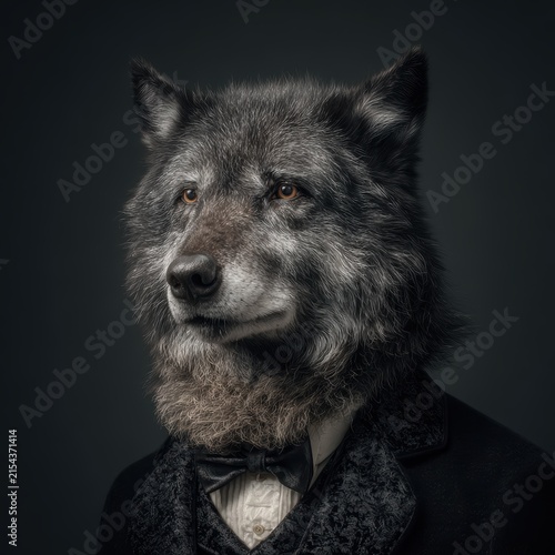 Anthropomorphic wolf dressed in tuxedo and bowtie, elegant portrait of animal with human-like attire, formal costume, stylish wildlife figure