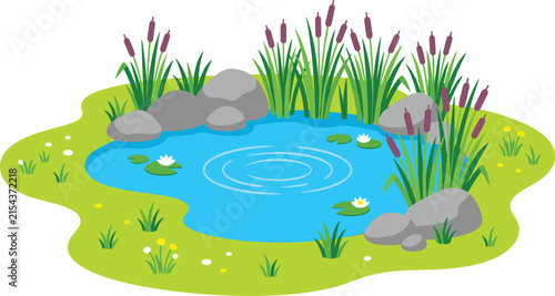 Garden pond landscape illustration, natural wetland vector scene, peaceful water ecosystem clipart bundle for landscaping