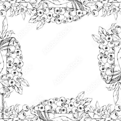 Woodland edible bilberry, huckleberry forest berries, blueberry in glass bowls. Isolated border square frame hand drawn in vector ink, copy space. Cottagecore journals, pantry labels, kitchen prints