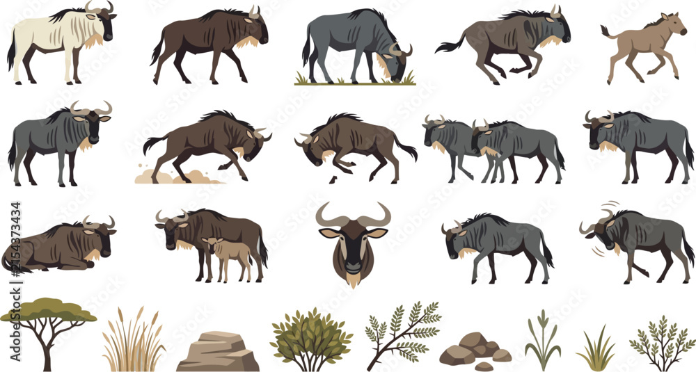 Obraz premium Comprehensive set of wildebeest vector illustrations including various poses and African savanna elements