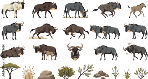 Comprehensive set of wildebeest vector illustrations including various poses and African savanna elements