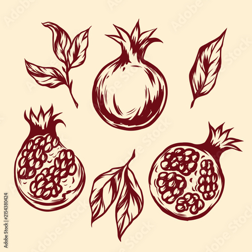 This charming vector illustration showcases a collection of pomegranates in various forms, perfect for culinary or botanical designs. The set includes whole fruits with their distinctive crowns