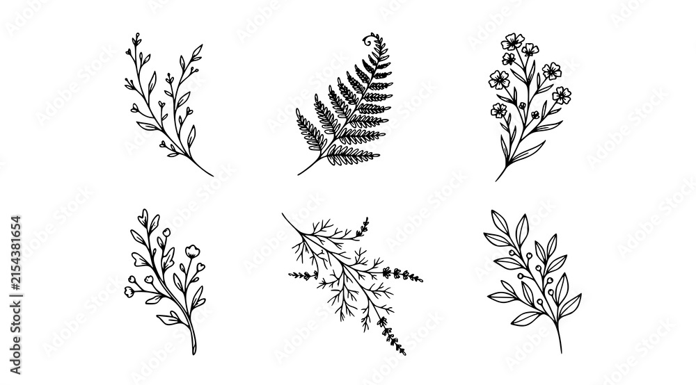 Fototapeta premium Minimalist plant branch line art vector bundle botanical herb outline drawing icon set 