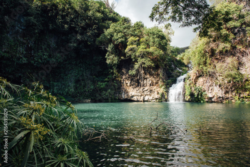 Paysage d'une cascade d'eau dans un bassin d'une forêt humide. Bassin de Saint-Gilles sur l'île de La Réunion. Paysage paradisiaque d'une chute d'eau dans une forêt humide et tropicale. 