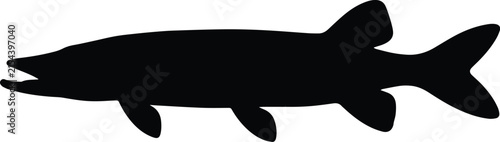 Black silhouette of a pike.