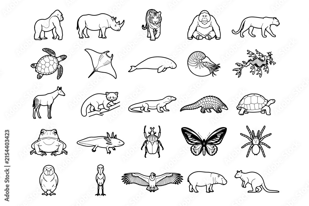 Fototapeta premium A collection of black and white illustrations depicting various animal species, showcasing a diverse range of wildlife from primates and large mammals to reptiles, amphibians, and insects.