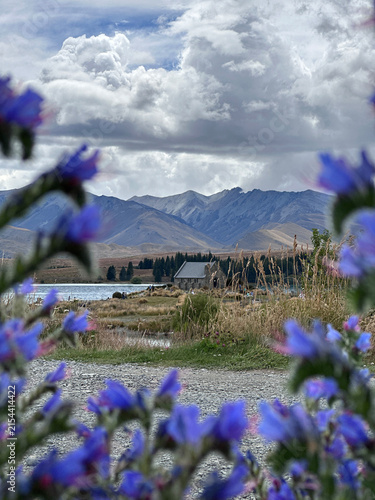 Church of the Good Shepherd framed by blue flowers at Lake Tekapo