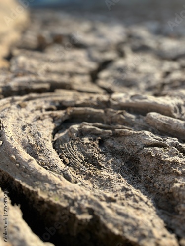 Obraz na płótnie Hardened sediment forms concentric ridges after prolonged moisture depletion, captured in warm sunlight as an abstract natural study of drought and geological transformation