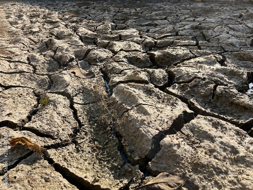 Foto Parched ground displays a dense network of deep fractures across an exposed outdoor surface, photographed during a prolonged dry season to document severe moisture loss