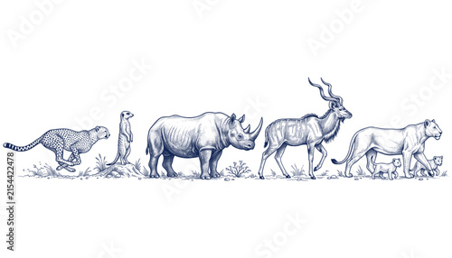 African safari wildlife horizontal seamless border vector featuring hand drawn cheetah rhinoceros and lioness