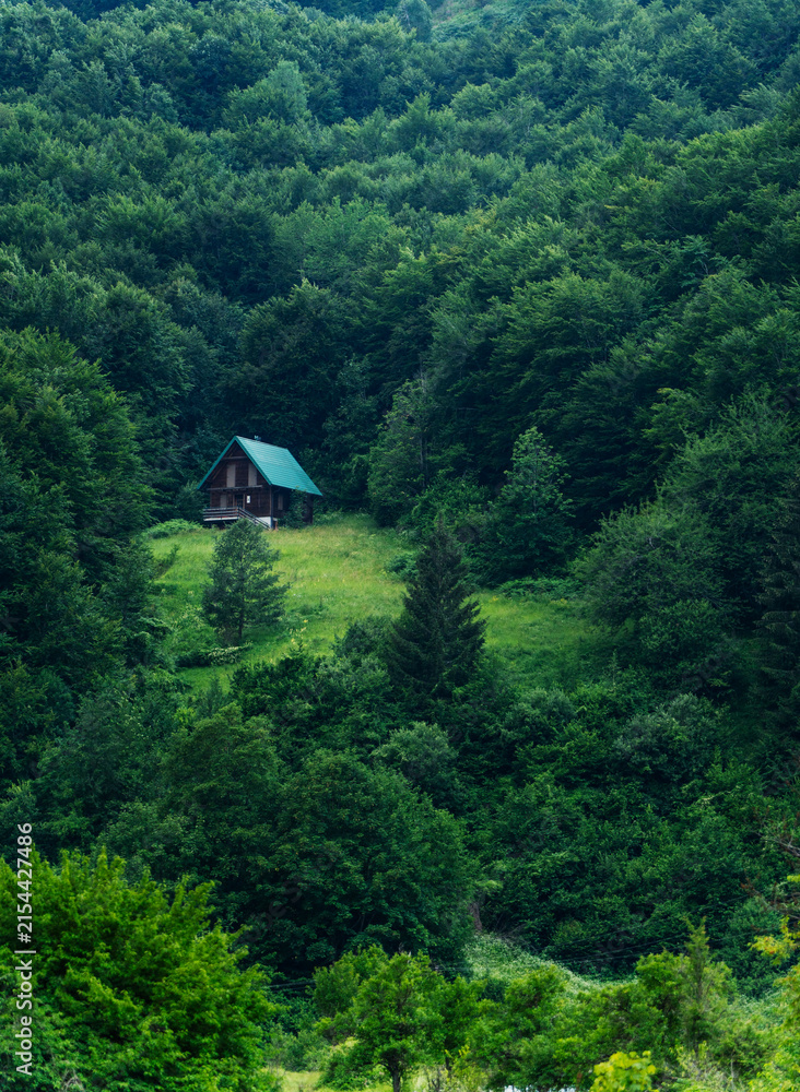 Obraz premium Beautiful countryside house on a green meadow surrounded by dense forest on a hillside.