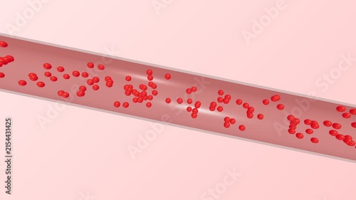 Microscopic View of Red Blood Cells Flowing Through a Human Vein.