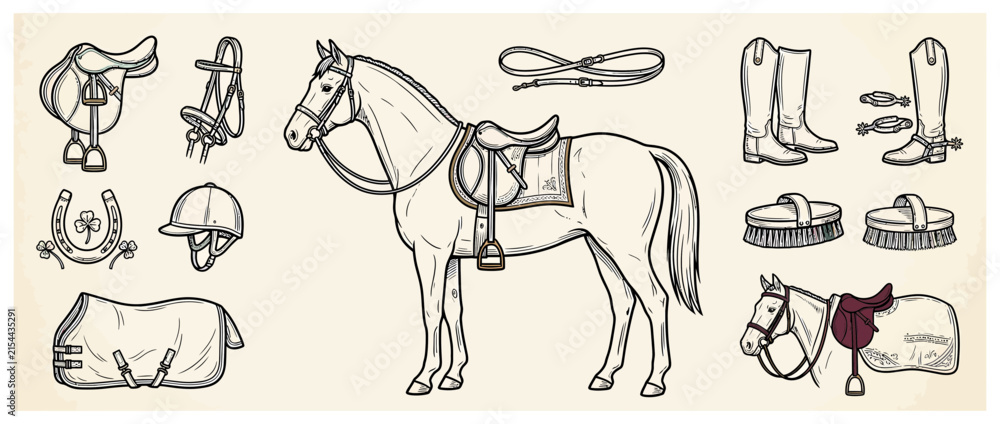 Obraz premium Equestrian Horse and Riding Gear Collection