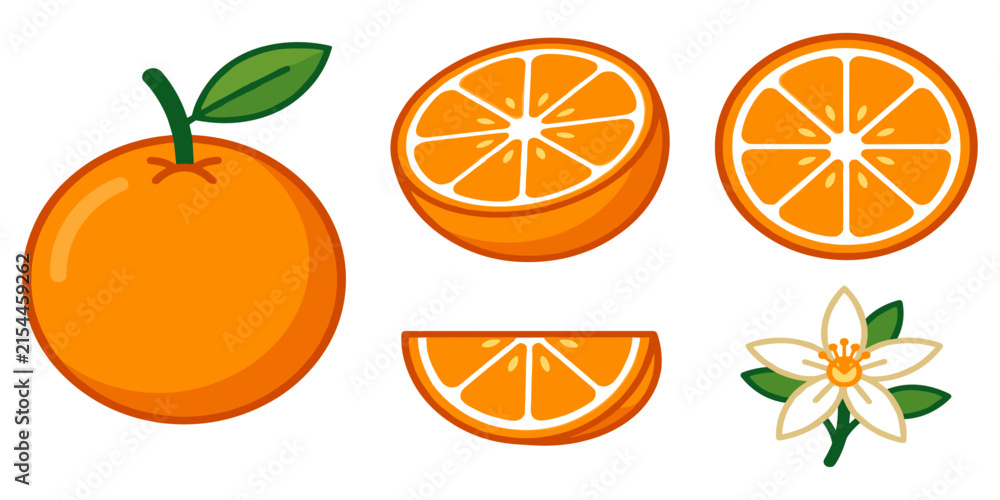 Fototapeta premium Flat vector illustration set of fresh orange fruit with slices half cut and blossom flower
