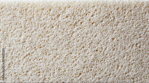 Detailed macro view of a white sponge showing its intricate porous structure