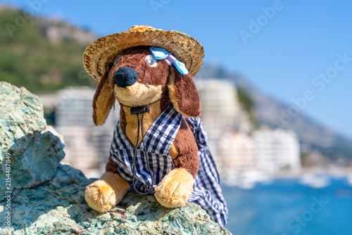 Photography A brown plush dachshund toy in a straw hat and checkered dungarees leans on a rugged stone above a blue bay, a charming keepsake idea for coastal trip memories