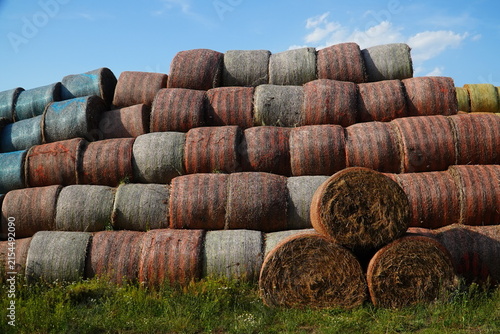 Agriculture. Highly stacked rows of colorful hay bales wrapped in blue, red, and yellow in a field near Rhinow, Havelland, Brandenburg, Germany.