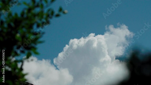 夏と入道雲