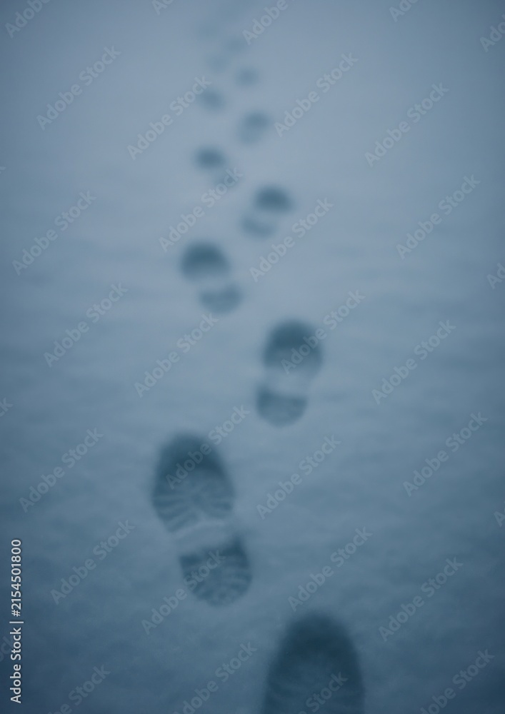 Obraz premium Footprints in fresh snow path.