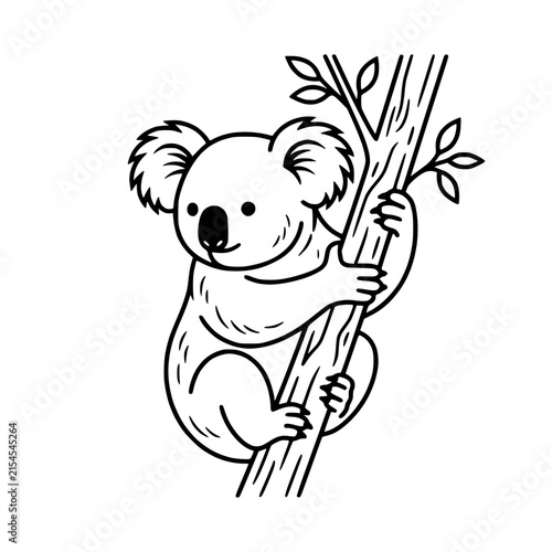 Photography Cute Koala Climbing Tree Branch Line Art